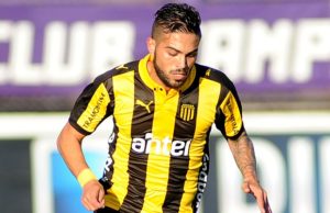 penarol11